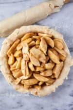 Honeycrisp Apple Pie (Easy Homemade Recipe) - Sass and Salt