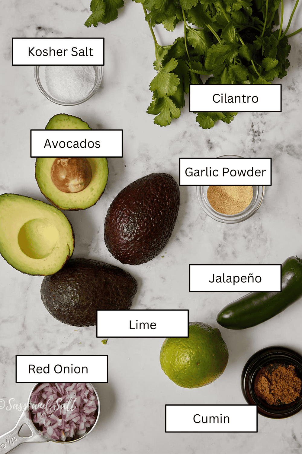 Ingredients for guacamole on a marble surface include whole and halved avocados, cilantro, jalapeño, a lime, diced red onion, small bowls of kosher salt, garlic powder, and cumin. Each item is labeled with text.